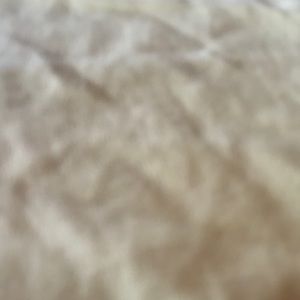 Meet your Posher, Abraham